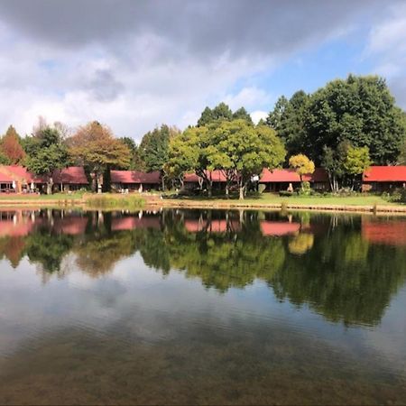 Critchley Hackle Lodge Dullstroom Bagian luar foto